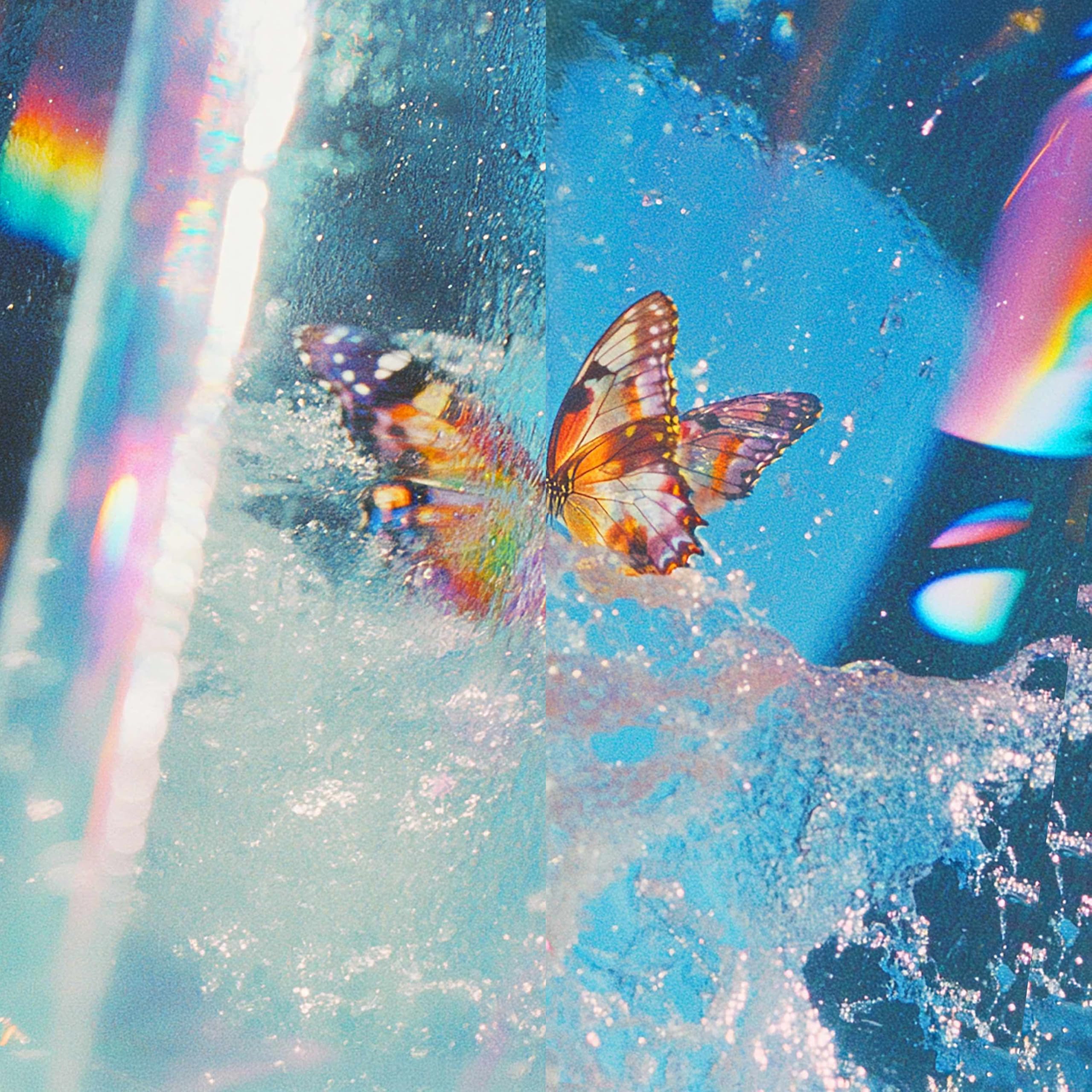Butterfly [VINYL]