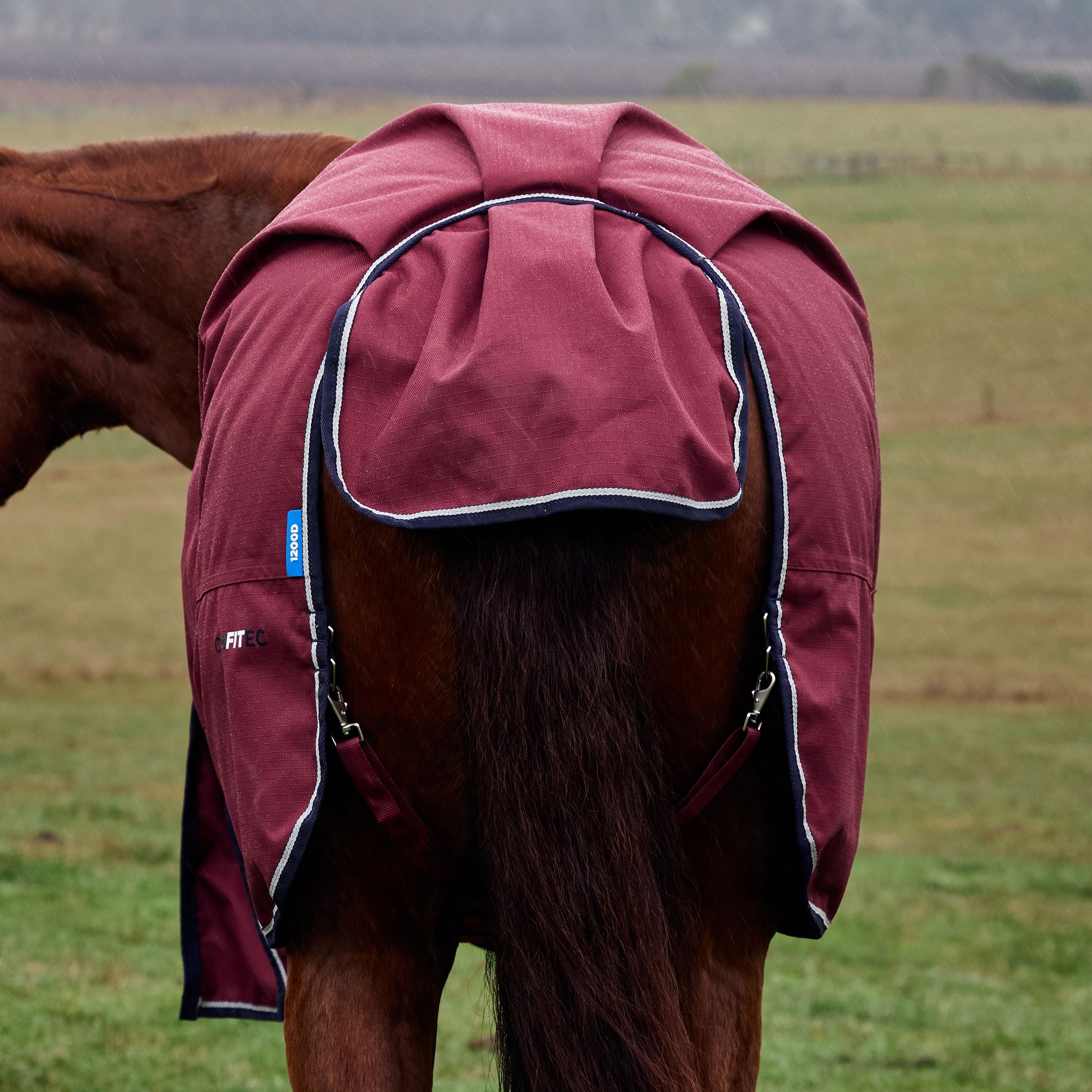 View 3
