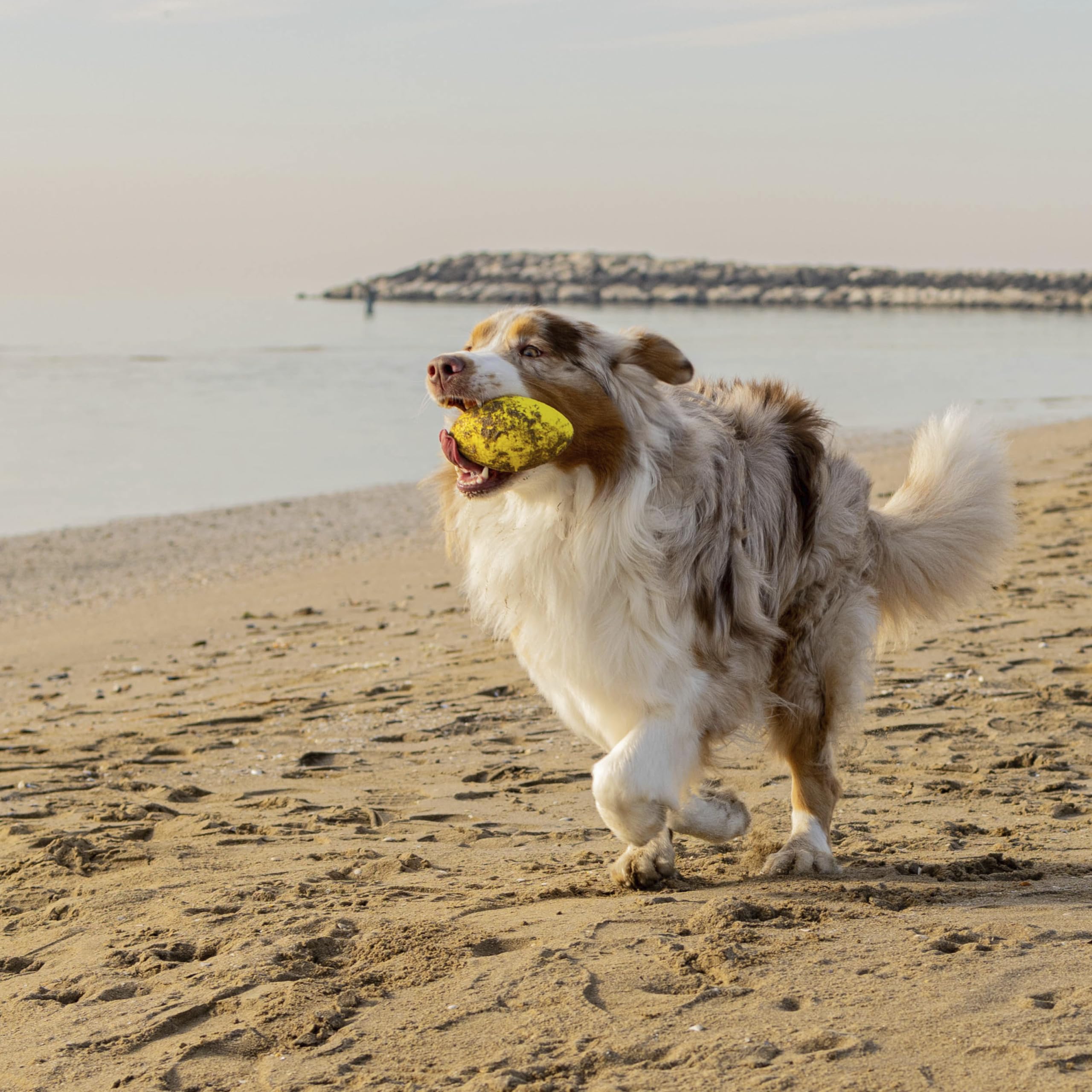 ferplast hondenbench van stof maat M - Elvabo de webshop voor hond / kat/ duif /paard
