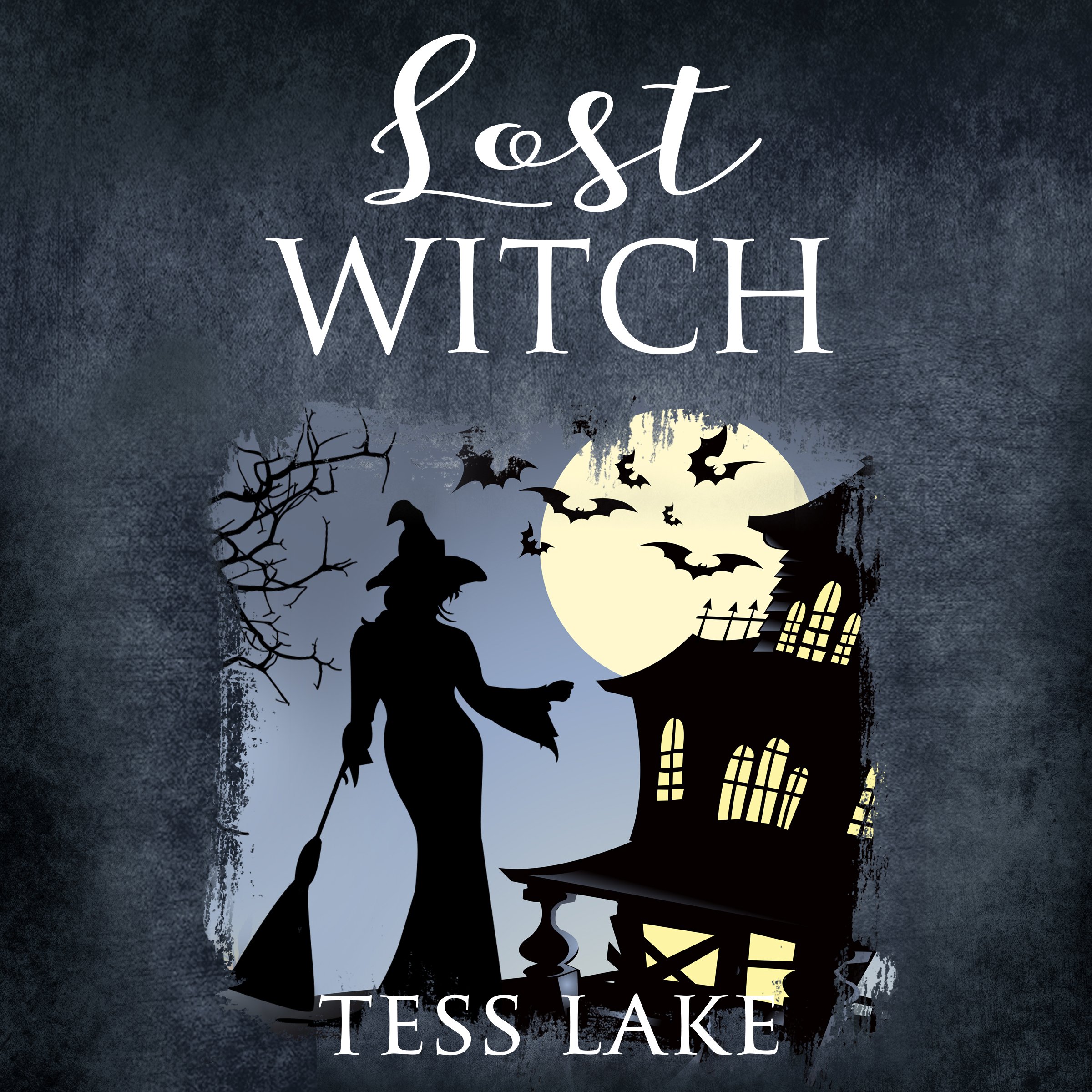 Cover art for Lost Witch
