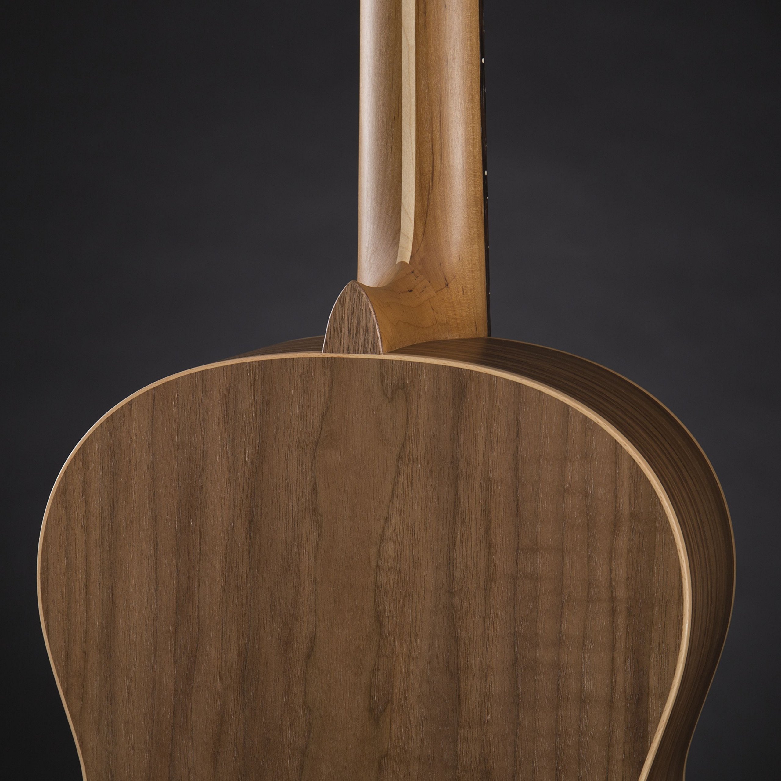 HGL 5 Guitarra de concierto