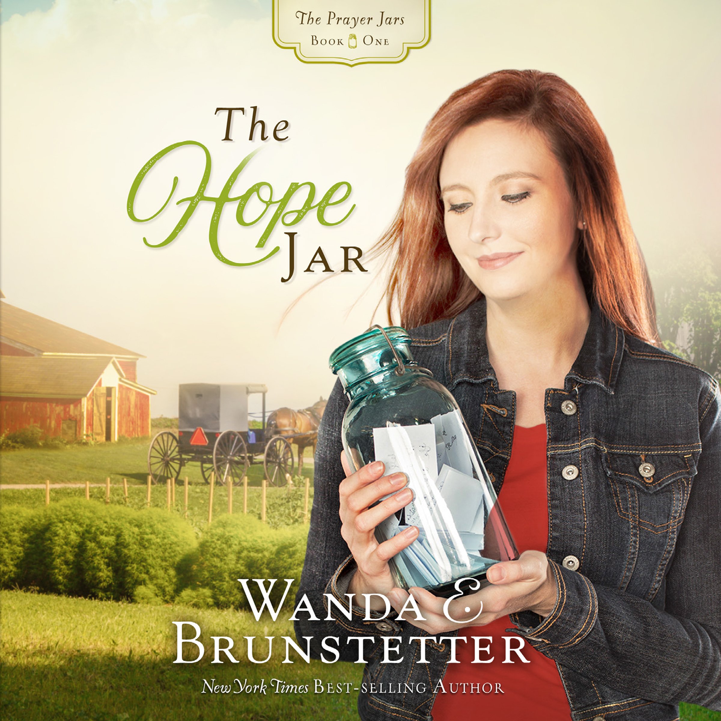 Cover art for The Hope Jar
