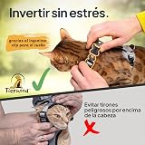 Ver la foto 4