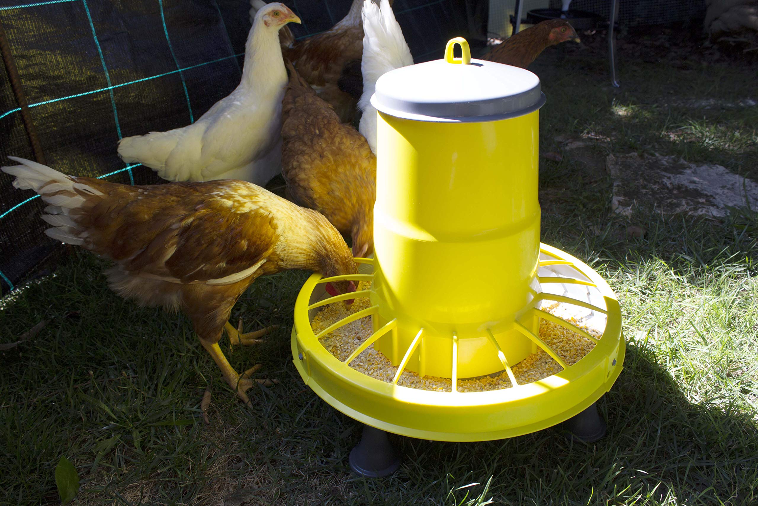 Zootec, Mangiatoia per Galline,Polli,Pulcini, Antispreco, 9 kg, Automatica, a Tramoggia, da Appendere, in Plastica, da Esterno e Interno, (Giallo/Grigio) - Made in Italy