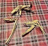 Review Image by Victor and Jennifer Victor and Jennifer