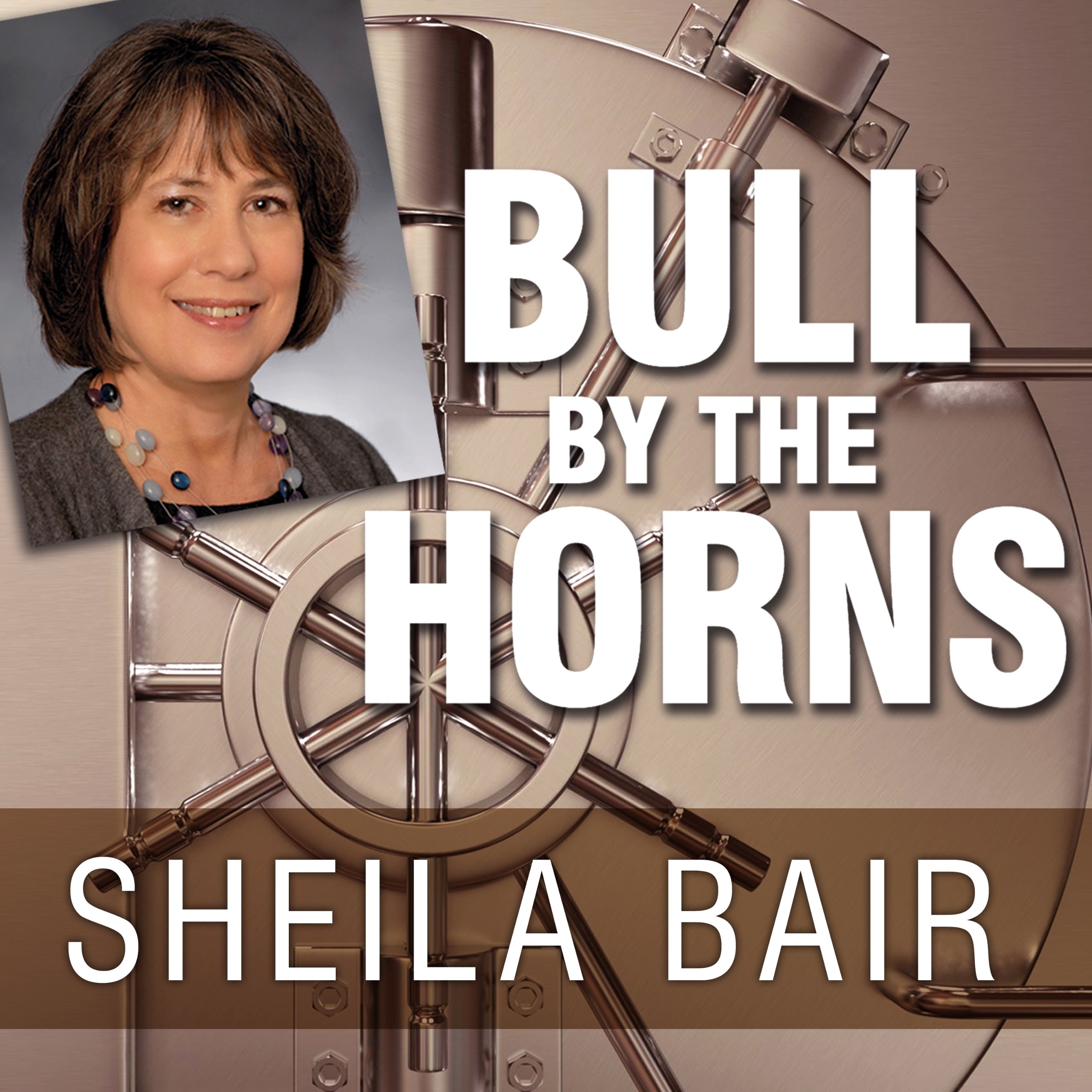 Cover art for Bull by the Horns