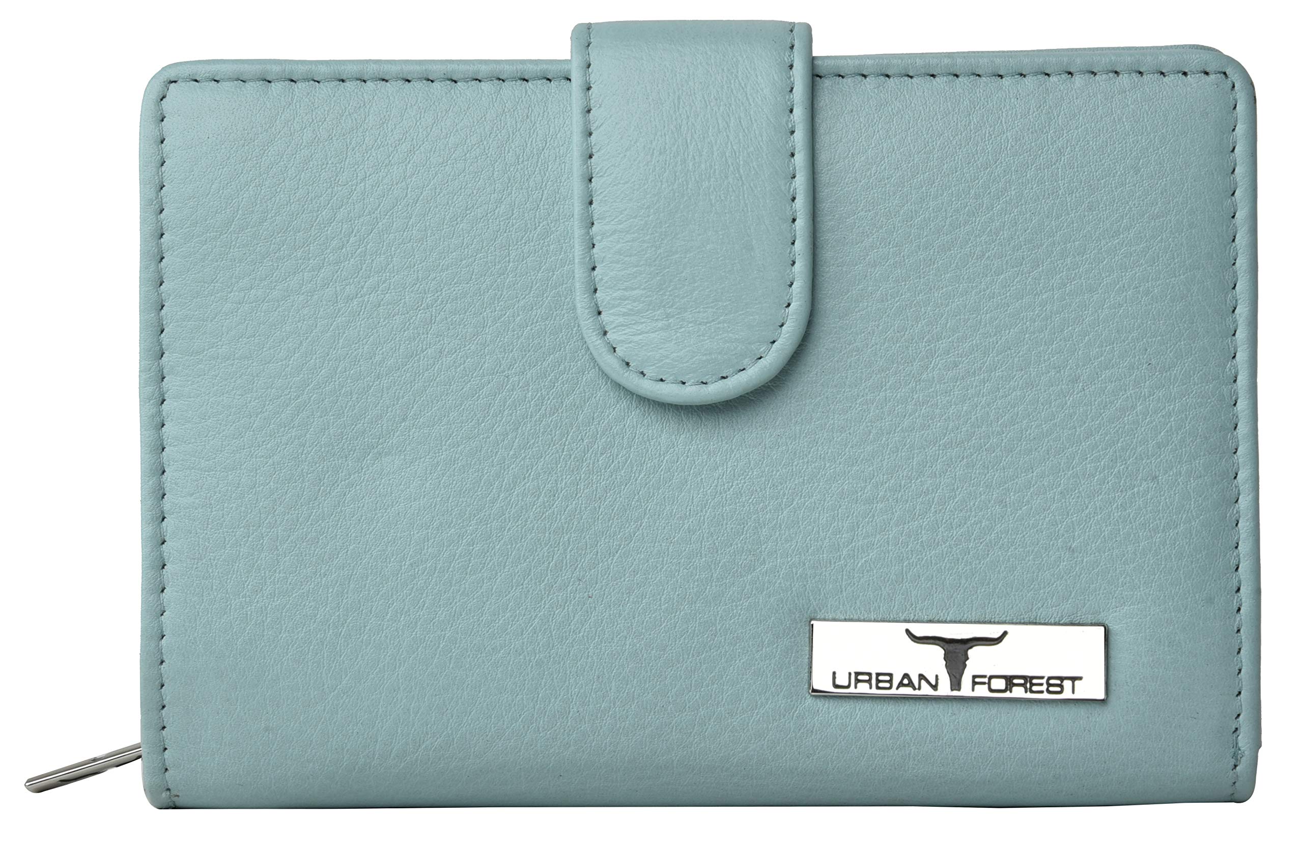 Arya Pastel Blue Leather Wallet for Women