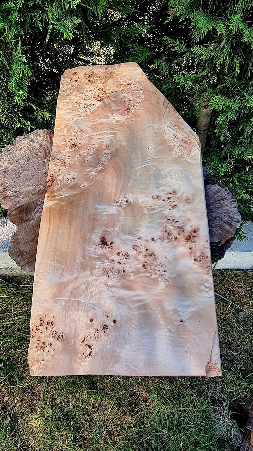 ozul Wood Veneer, Poplar burl veneer, 8 pieces, Wood lover gift
