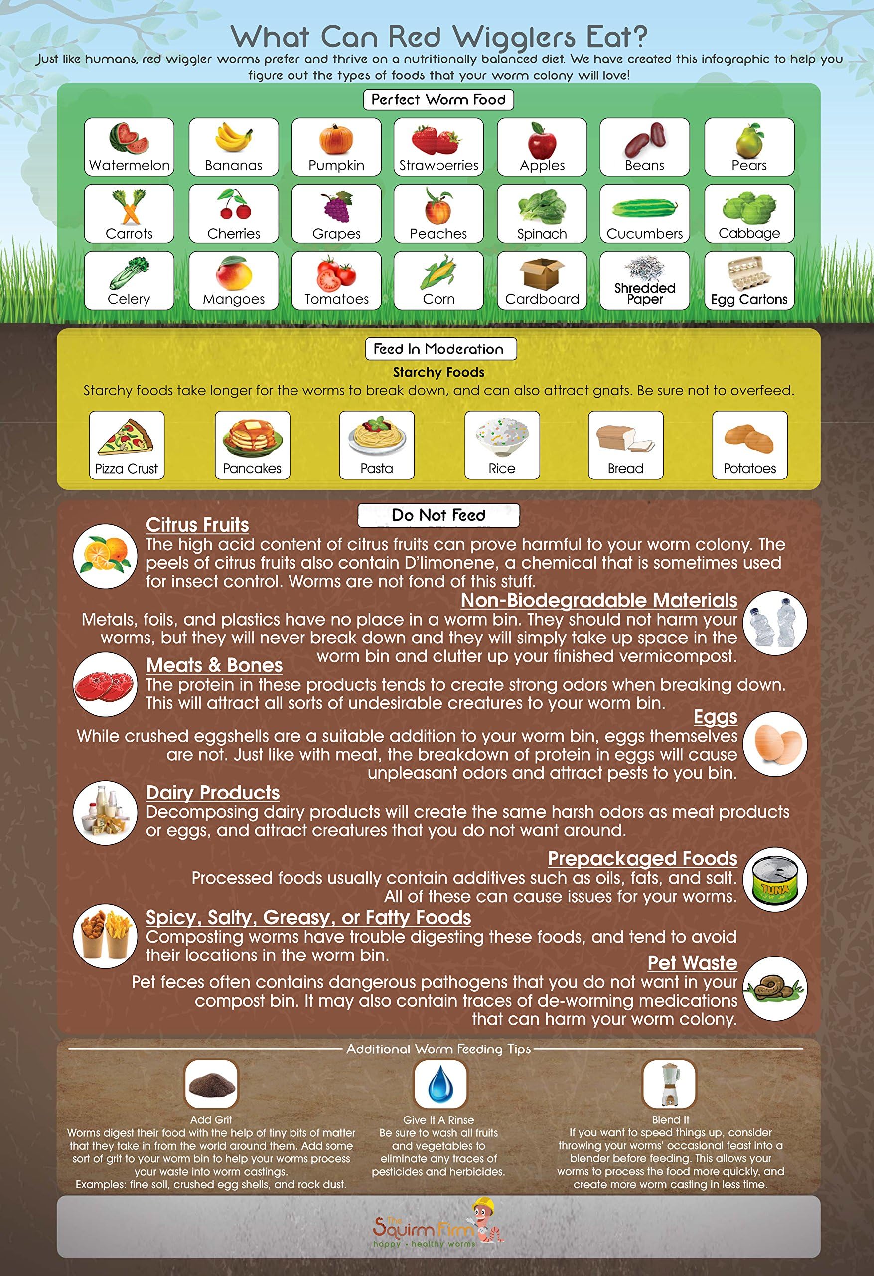 The Squirm Firm "What Can Red Wigglers Eat?" Infographic Refrigerator Magnet for Live Red Wiggler Worm Composting Bins - An Essential Accessory to Any Worm Starter Kit - Perfect For Kids & Adults