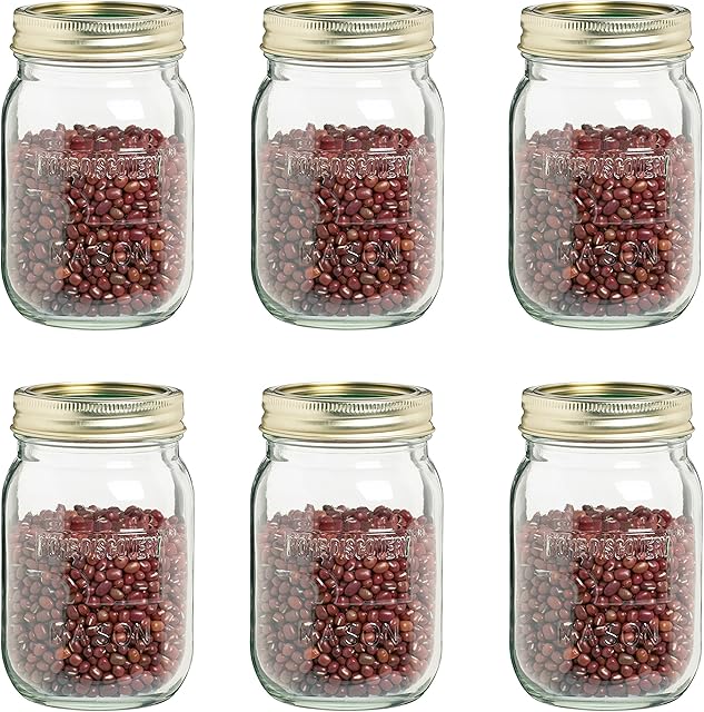 KitchenCraft Home Made Preserving Jars, Glass with Lids, 500 ml, Set of 6