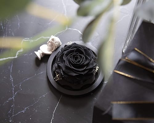 Vista 22 de DuHouse Forever White Roses - Caja de flores reales preservadas para San Valentín, cumpleaños, aniversario, día de la madre, Navidad (blanco)