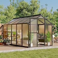 8x10 FT Greenhouse for Outdoors, Polycarbonate Greenhouse with Roof Vent, Ground Nails, Lockable Push Door, Aluminum Large Walk-in Green House for Outside Garden Backyard, Patio, Lawn, Silver