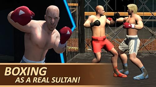 Sultan: The Fighter