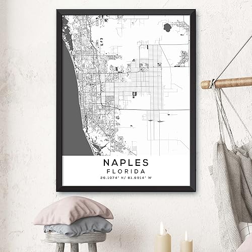 Miniatura 3 de Mapa de Nápoles, Florida, Light 2 (18x24)