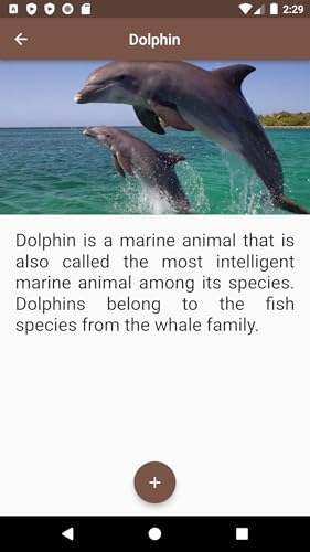 Sea Animals SA