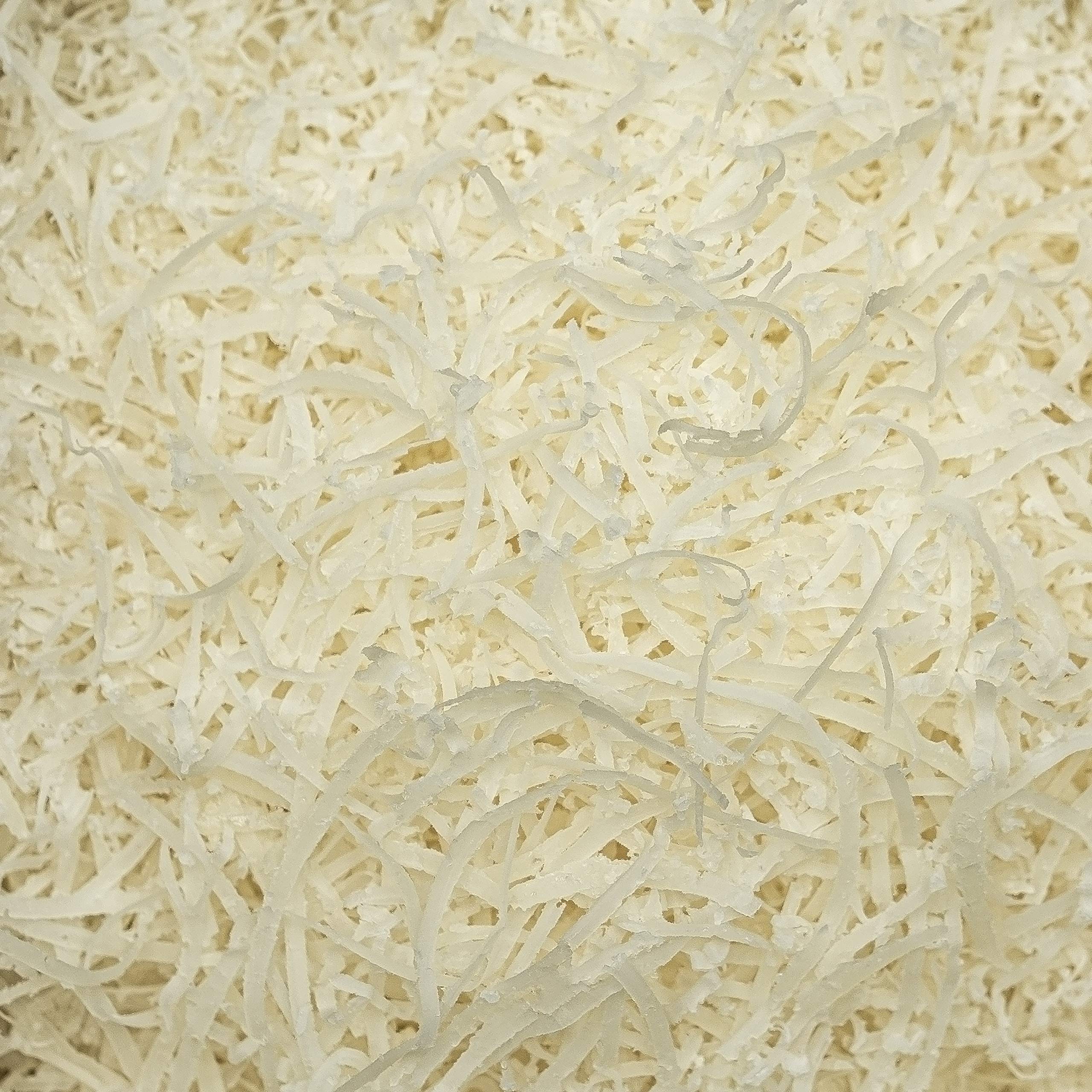 AGRIFORM GRANA PADANO DOP g.U Twist & Grate 3x 150g mit Käsemühle Formaggio-Italiano- Giro-Gratta Italienischer-Parmesan-Hartkäse für Pizza Carpaccio Salat Gratin Auflauf