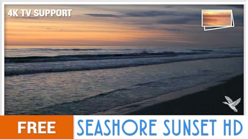 2657/5000 Character limit: 5000 Seashore Sunset HD grátis - Relaxe com ondas tranquilas na sua TV HD