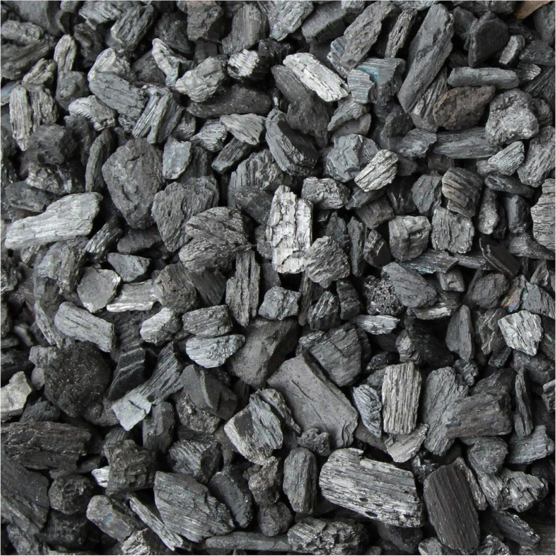 Waldor Orchids Famous Fine Grade Charcoal