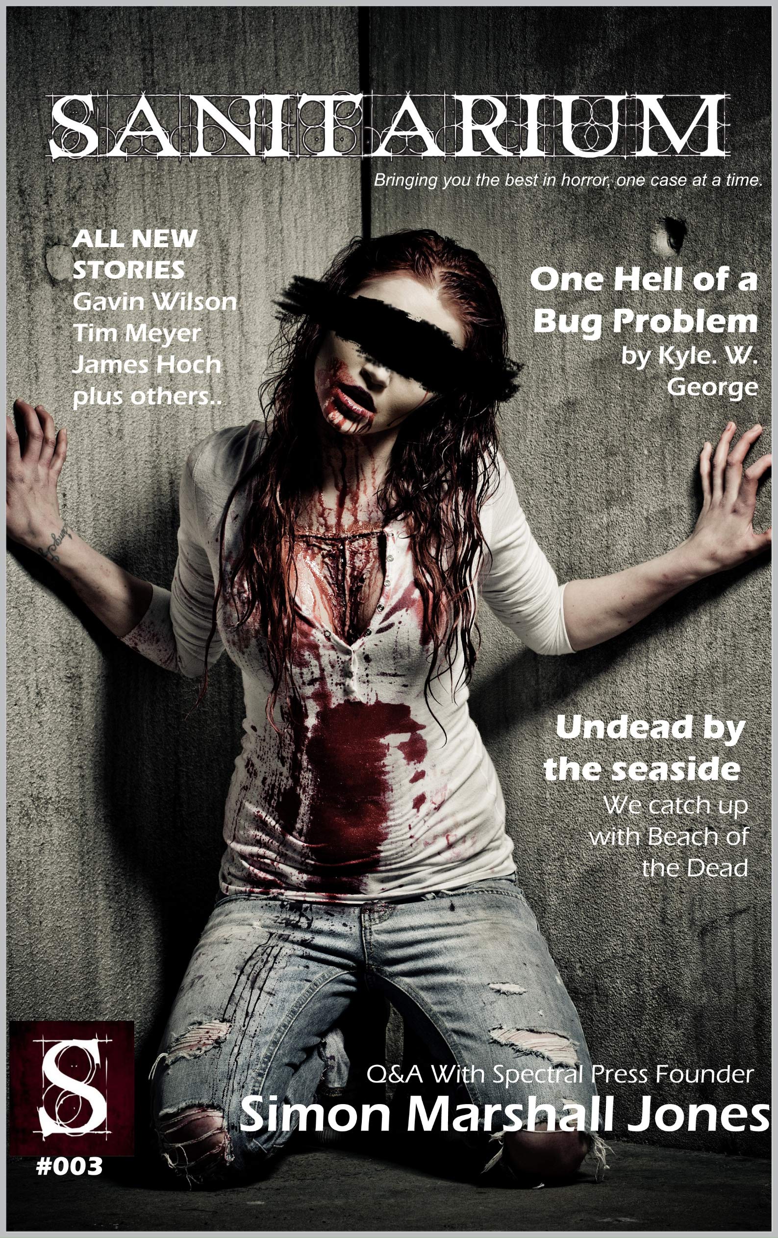 Sanitarium Issue #3: Sanitarium Magazine Issue #3 2012 edition