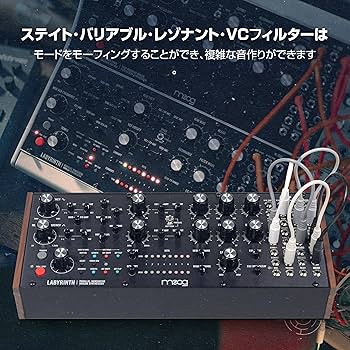 K*n様 Moog LABYRINTH モジュラーシンセサイザー　（新品同様） 789737_0-edited.jpg