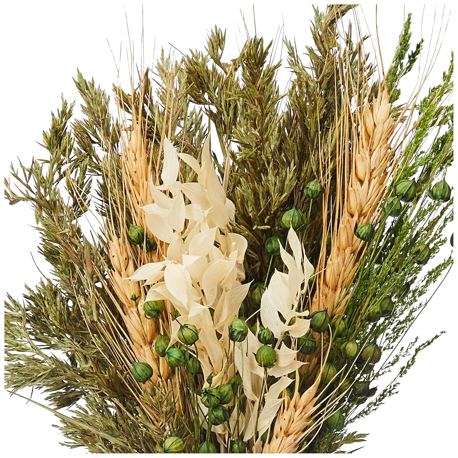 Amazon Brand - Solimo Dried Flowers with Long, Green Ceramic Vase for Home Décor and Gifting offers donot miss