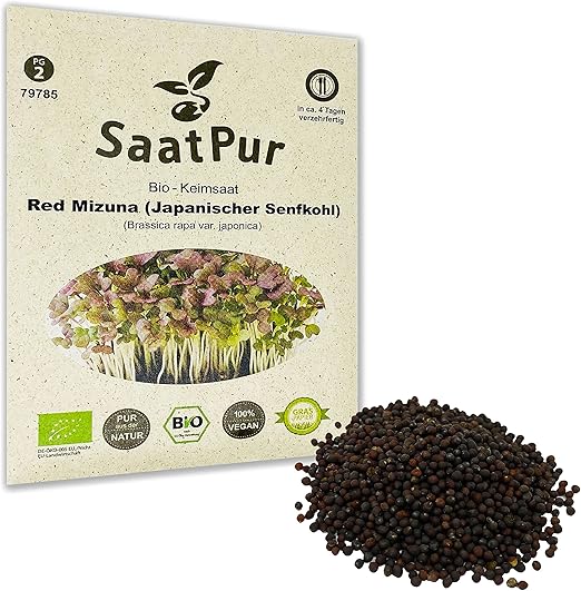 BIO Radies Sango Keimsprossen 30g - Rote Rettiche Microgreens Von SaatPur