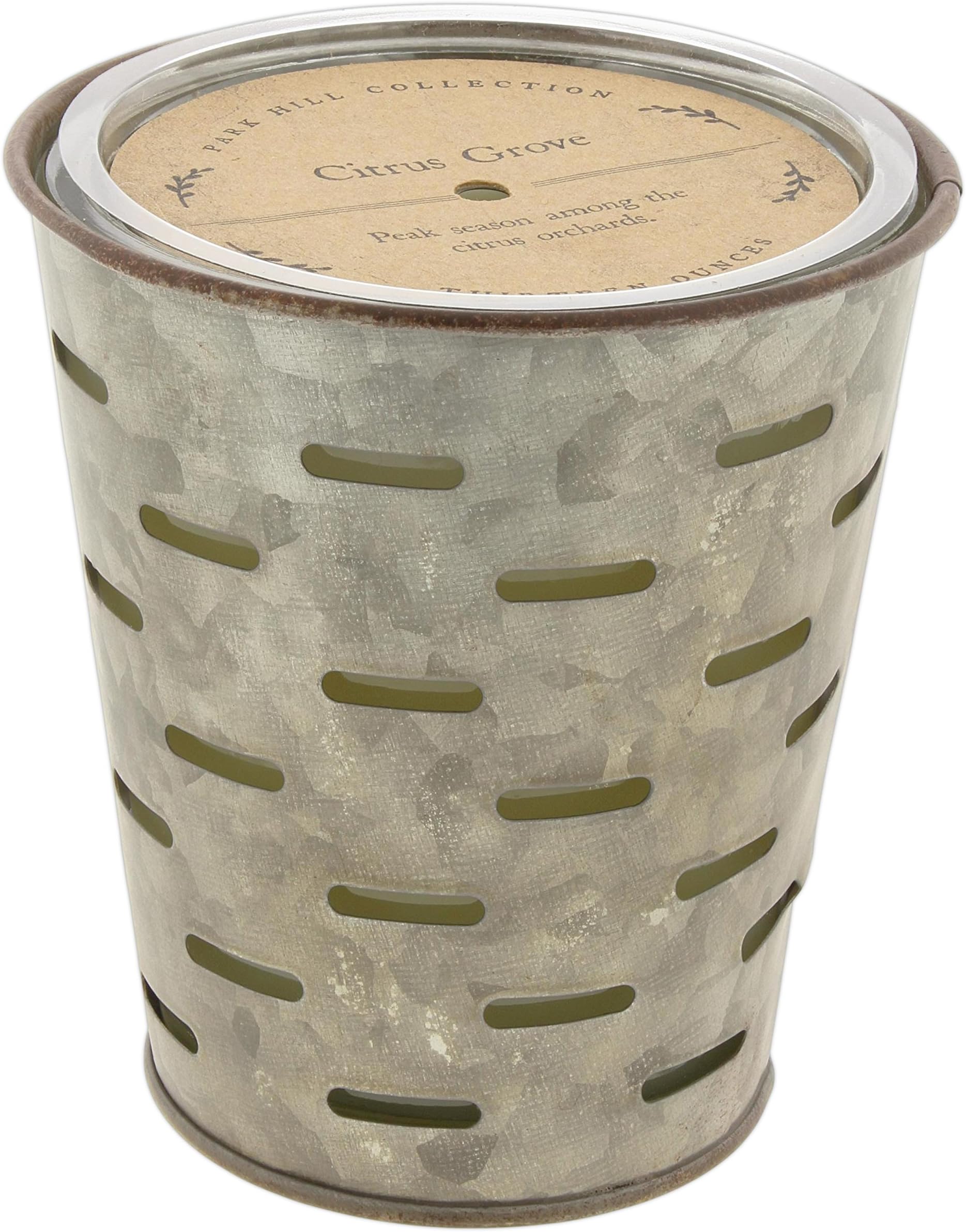 Park HillScented Candle ('Citrus Grove')