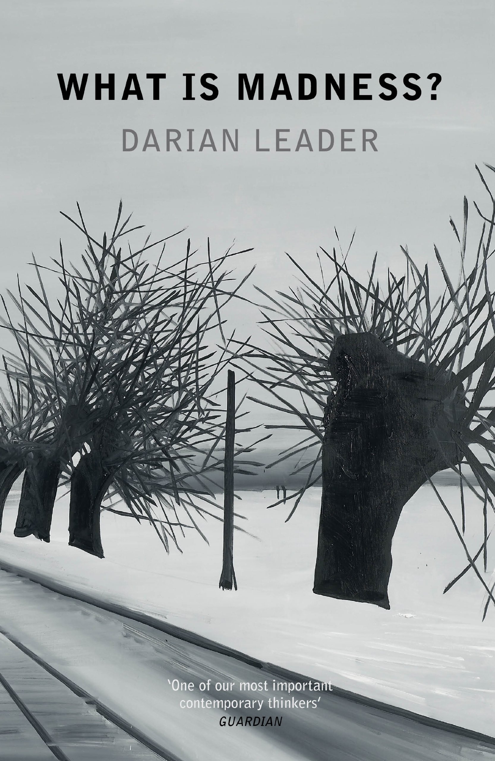 Buy What is Madness? — BookShops.in