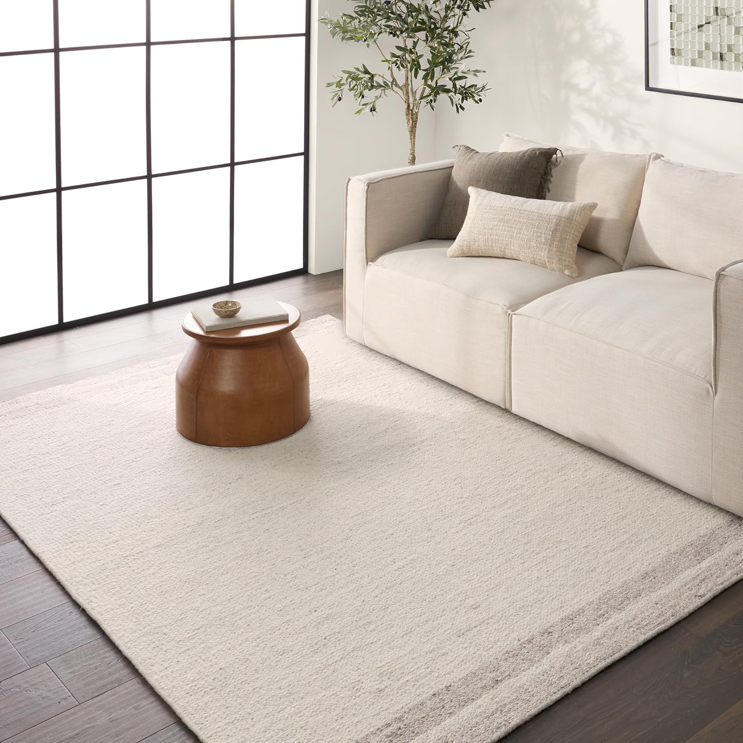 Amazon.com: Jaipur Living, Soft 8x10 Large Area Rug, Border Cream/Tan ...