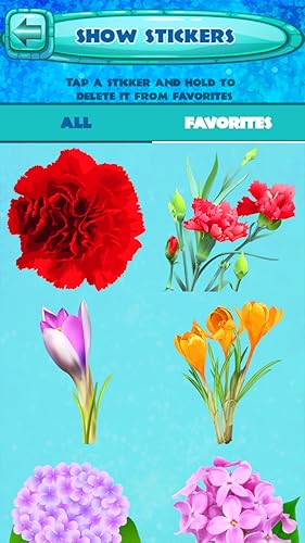 Flores Adesivos