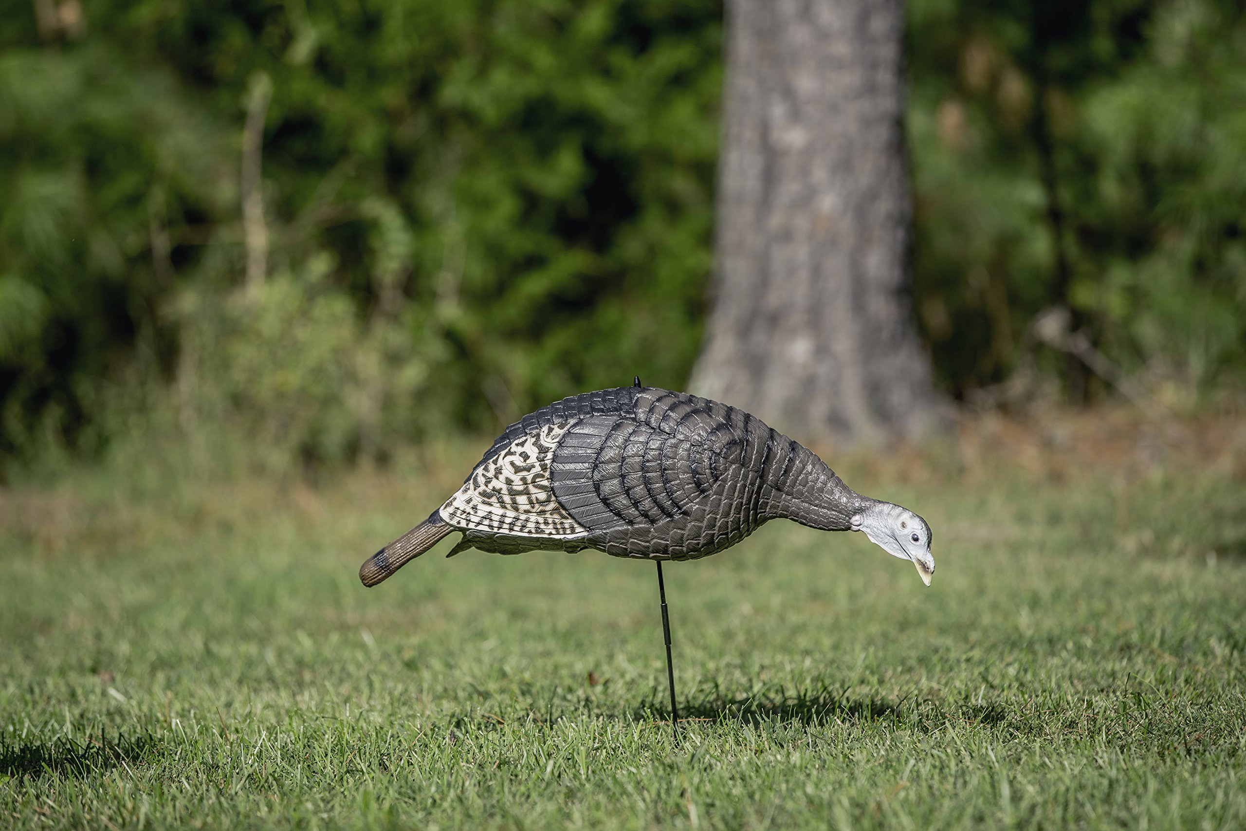 Flambeau Outdoors Hard Body Crow Specialty Decoy 12-Pack Hunting Decoys, Black