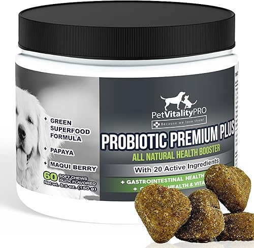 PetVitalityPRO Probióticos para perros con enzimas digestivas naturales 4 CFU de factura2 masticables blandos Diarrea de perro malestar estomacal