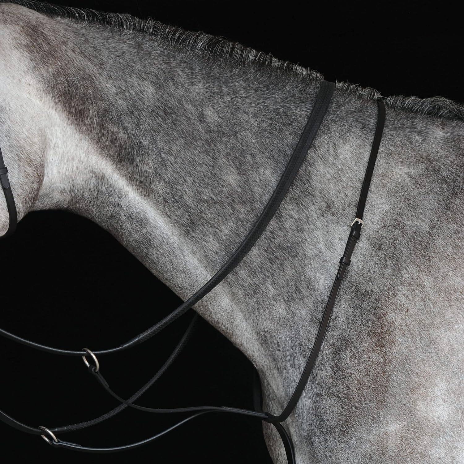 Collegiate Running Martingale IV
