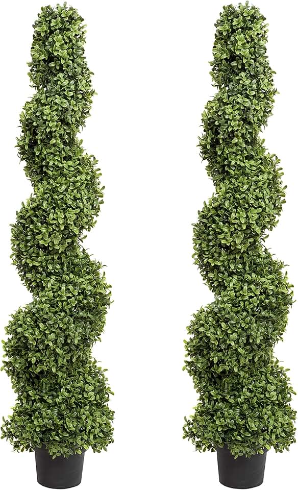 Amazon.co.uk spiral topiary trees
