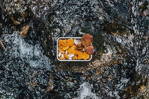 Miniatura 7 de Sigg - Fiambrera de metal Plus - Recipiente para alimentos con compartimentos - Diseño suizo - Apta para lavavajillas - Ultra ligera - SL