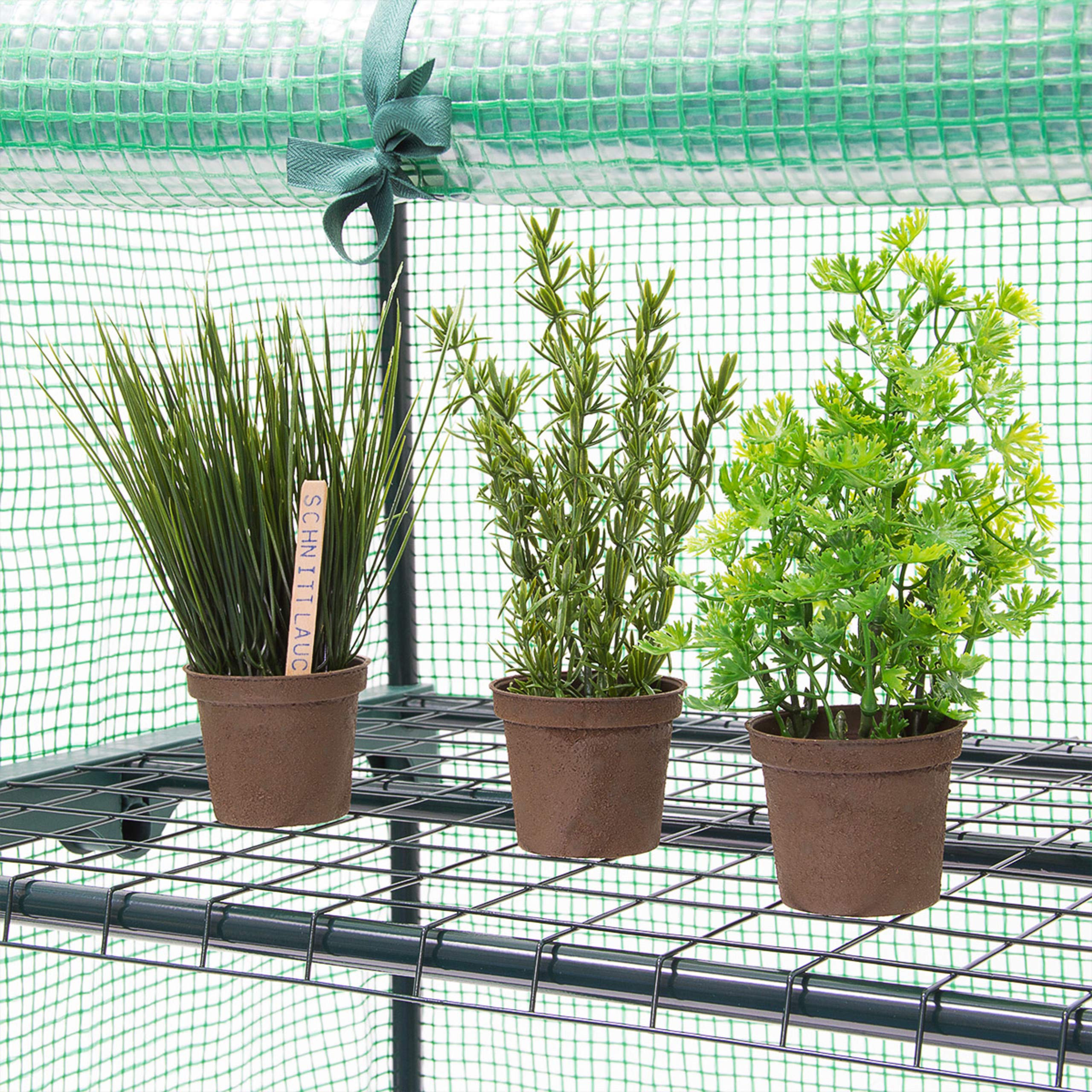 Relaxdays Serra Vivaio per Giardinaggio, 4 Ripiani, HLP 158x70x50 cm, Accessorio Giardinaggio sul Balcone, Verde
