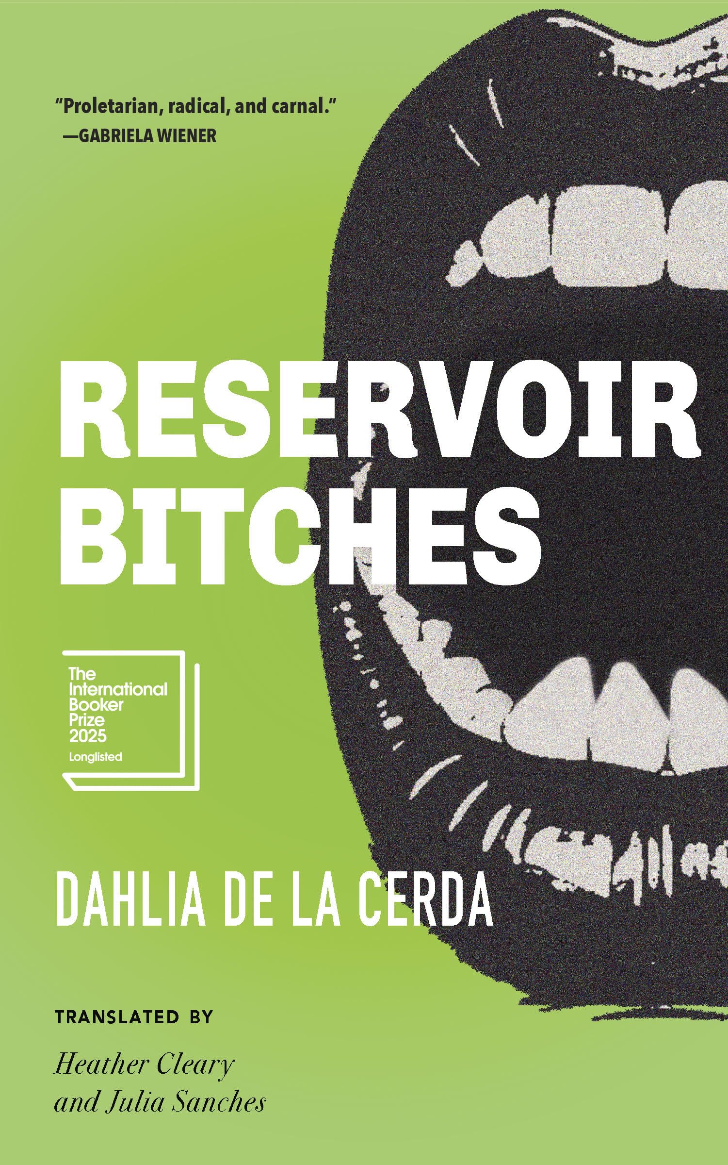 Buy Reservoir Bitches: Stories — BookShops.in