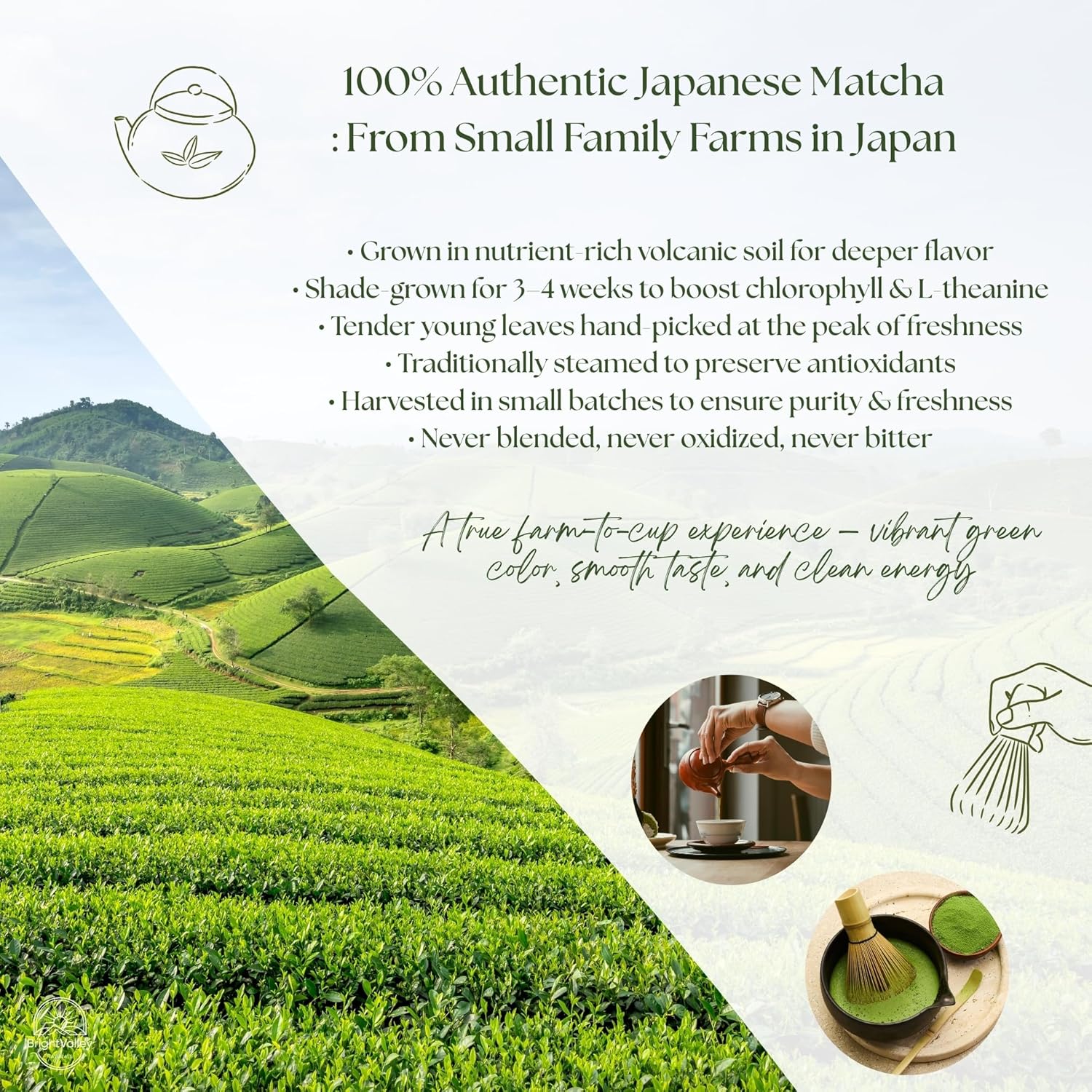 Culinary Premium Grade Matcha Powder – 100% Japanese Matcha, Green Tea Powder for Lattes, Baking & Smoothies, Smooth Flavor, Antioxidants & Clean Energy, Shade-Grown & Stone-Ground – 2 oz - Image 4