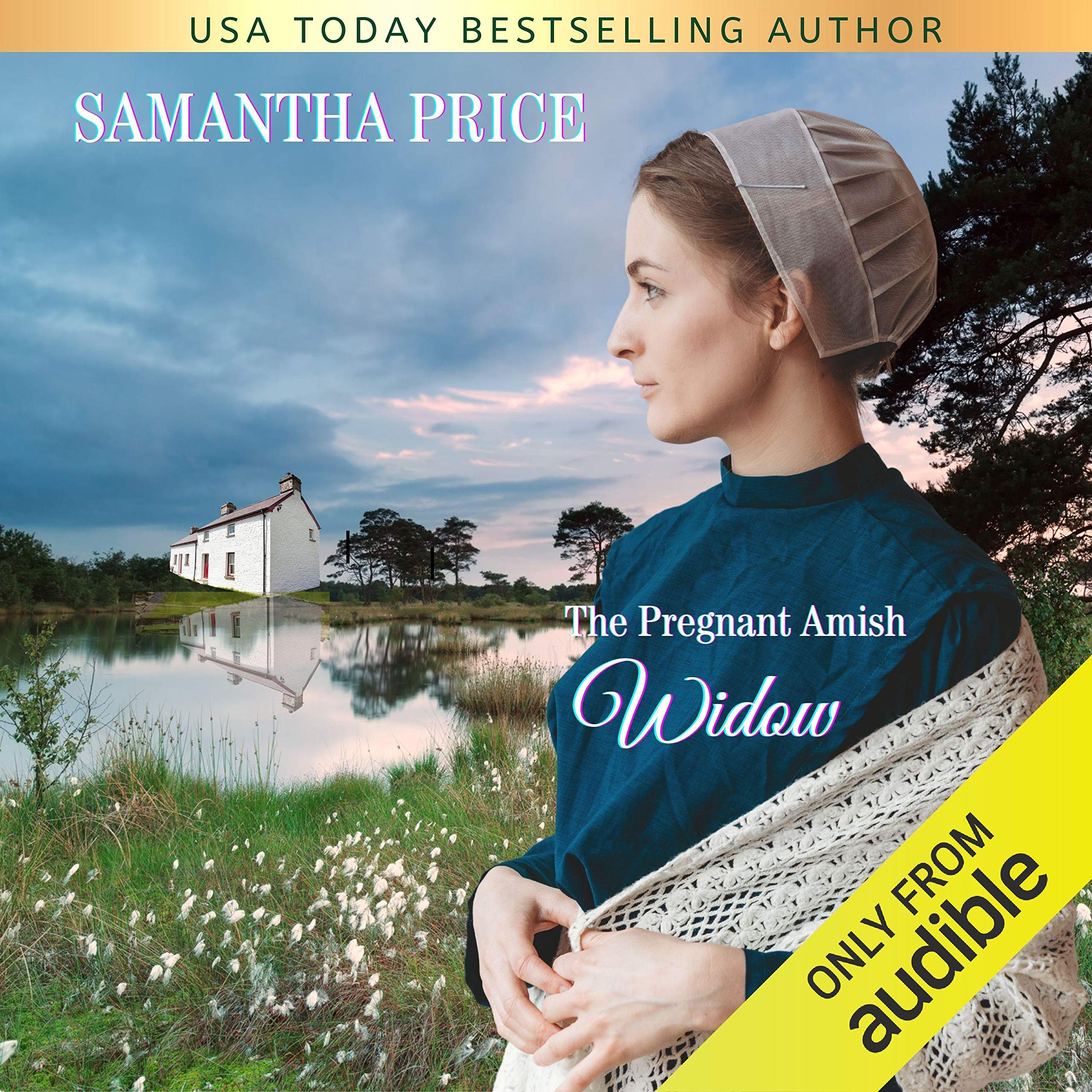 Cover art for The Pregnant Amish Widow