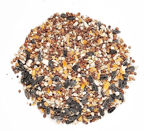 Miniatura 7 de Shafer Seed 51041 - Bolsa de 40 libras, aceite negro, girasol, alimento para pájaros silvestres y alimento para pájaros silvestres Wagner's 13010,