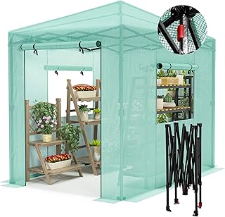 12 Backyard Studio Ideas for Functional Creative Space 21 Devoko Walk-in Greenhouse, Instant Pop Up Green House for Outdoors with ...