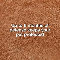 Vista 3 de ADAMS Flea & Tick Collar for Dogs & Puppies, Flea Collar for 12 Month Prevention, Kills Fleas, Ticks & Repels Mosquitoes, Excluding California, One