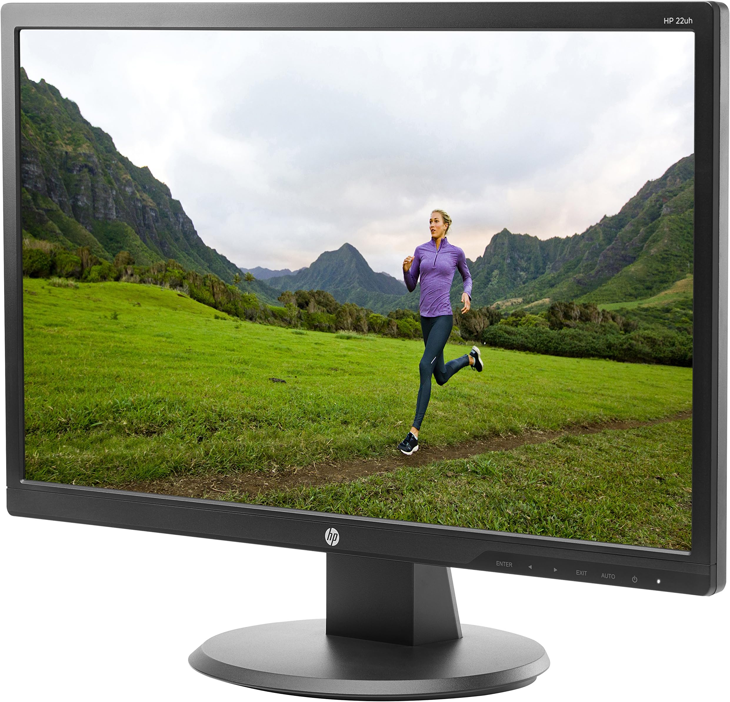 HP Smart Buy P22 G5 21.5IN FHD Monitor : Amazon.ca: Electronics