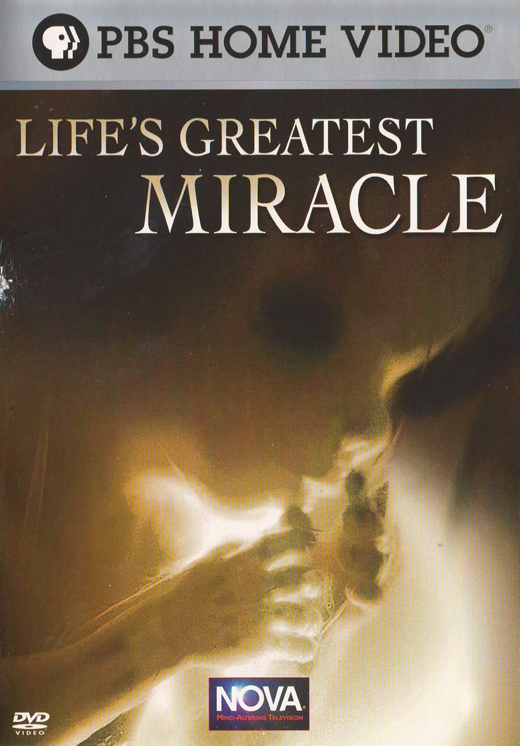 Life's Greatest Miracle Movies & TV