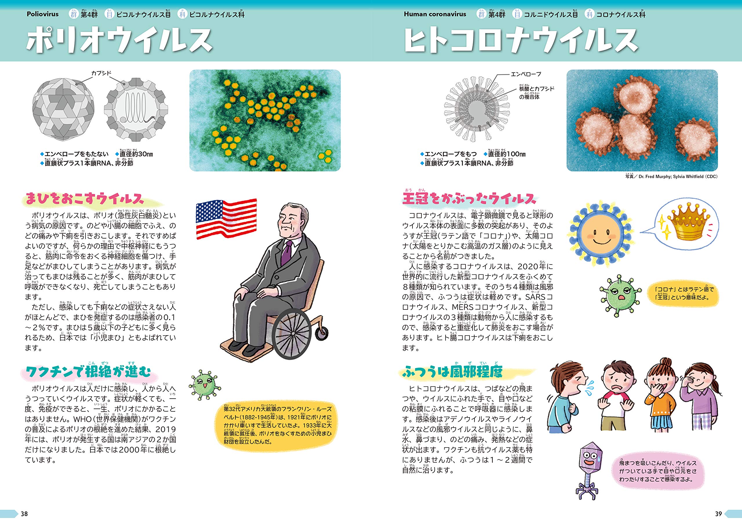 ウイルス ずかん 武村政春 宮沢孝幸 本 通販 Amazon ウイルス ずかん 武村政春 宮沢孝幸 本 通販 Amazon