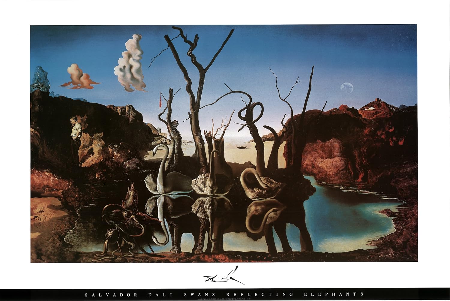 Póster de Salvador Dalí con diseño de cisnes (36 x 24 cm)