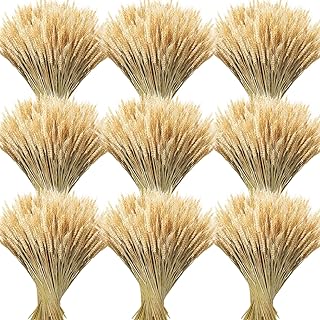Geosar 800 Stems Dried Wheat Stalks for Decor Natural Wheat Grass Sheave...