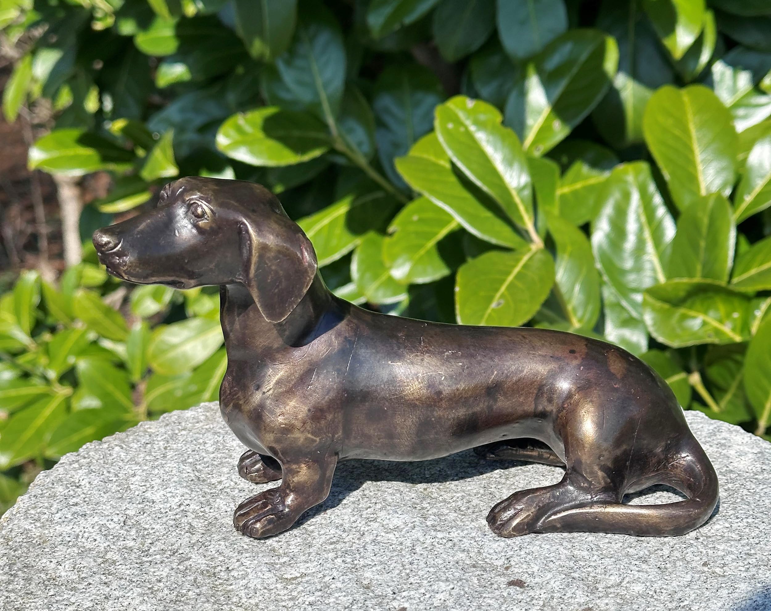 STEINFIGURENWELT GIEBEN Bronzefigur Dackel 12x20cm Dekoration aus Bronze Skulptur Tier Figur Deko Geschenk Bronzestatue Kurzhaardackel Wetterfest