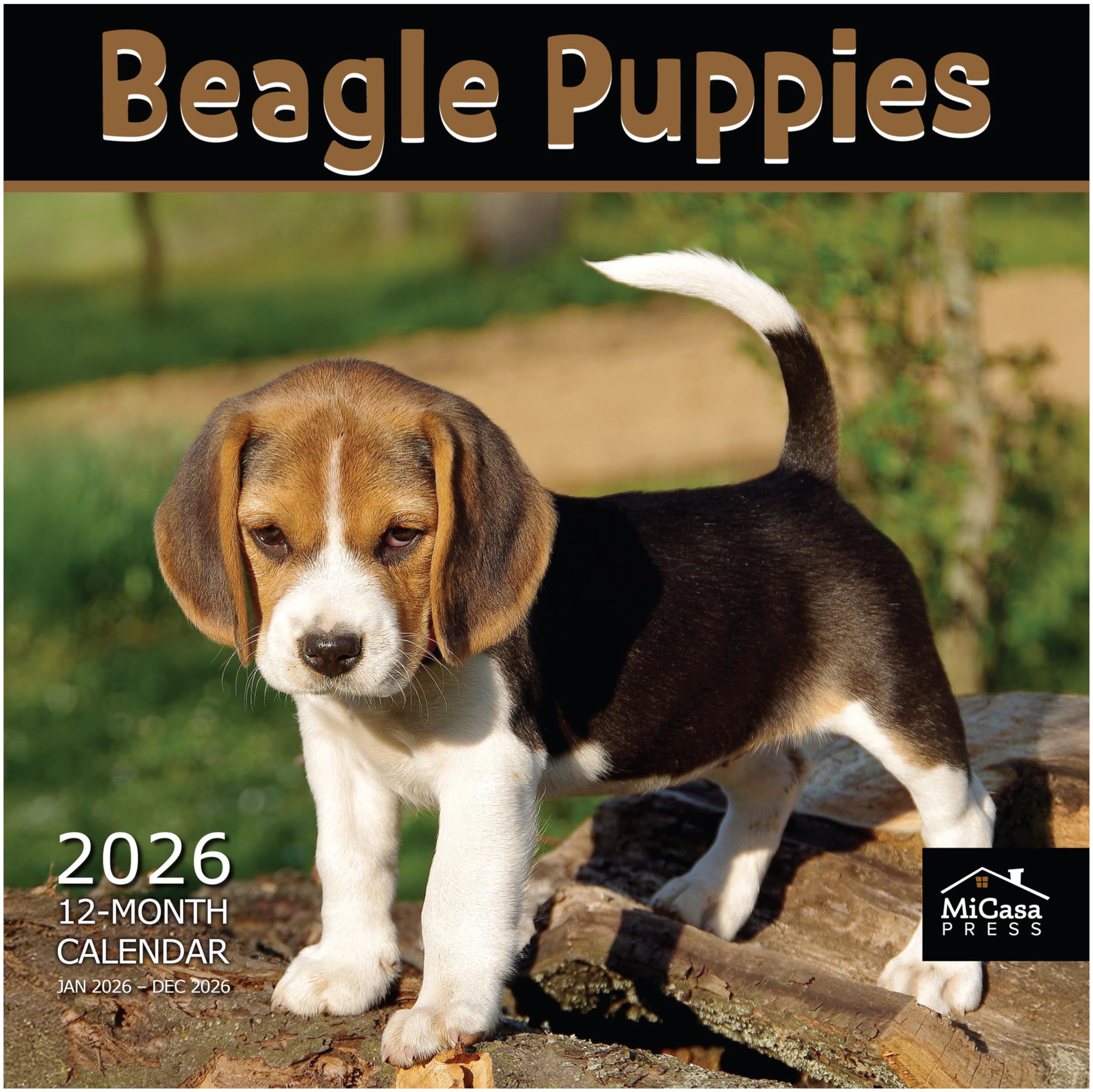 MICASA PRESS Beagle Puppies 2026 Wall Calendar 12 Month | 12" x 24" Open | Thick &amp; Sturdy Paper | Giftable | Cute Puppy Dog Calendar 2026