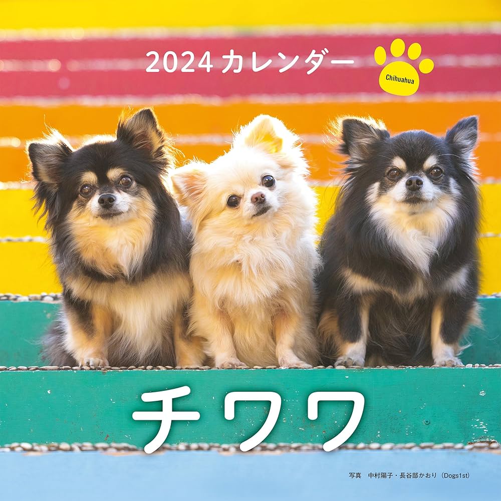 2024年 チワワ カレンダー/ブラウントラウト 2024年カレンダー チワワ | 株式会社誠文堂新光社